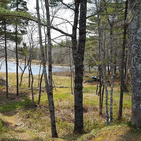 Roseway River Cottages Shelburne Bagian luar foto