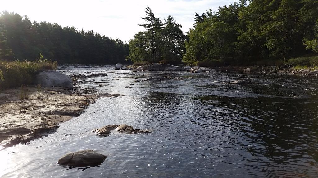 Roseway River Cottages Shelburne Bagian luar foto