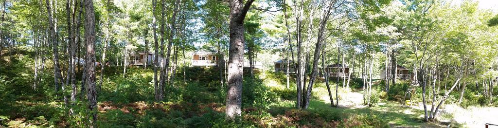Roseway River Cottages Shelburne Bagian luar foto