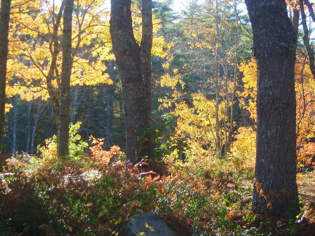 Roseway River Cottages Shelburne Bagian luar foto