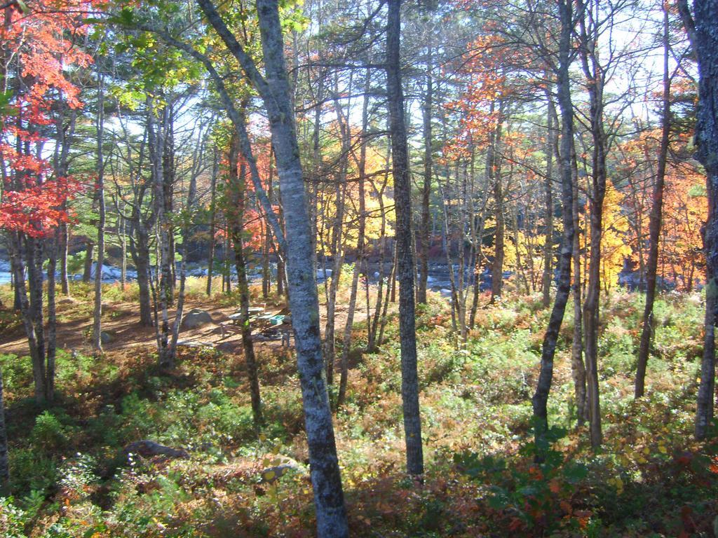 Roseway River Cottages Shelburne Bagian luar foto