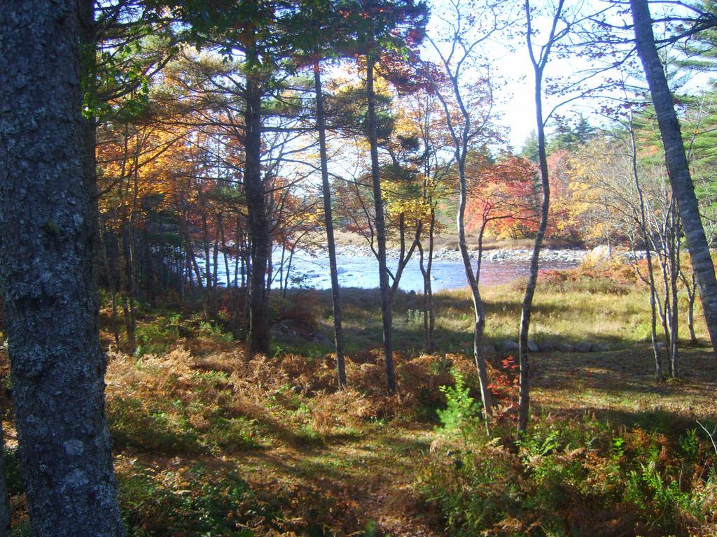 Roseway River Cottages Shelburne Bagian luar foto