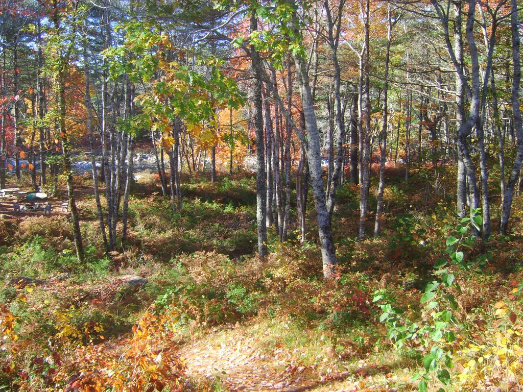 Roseway River Cottages Shelburne Bagian luar foto