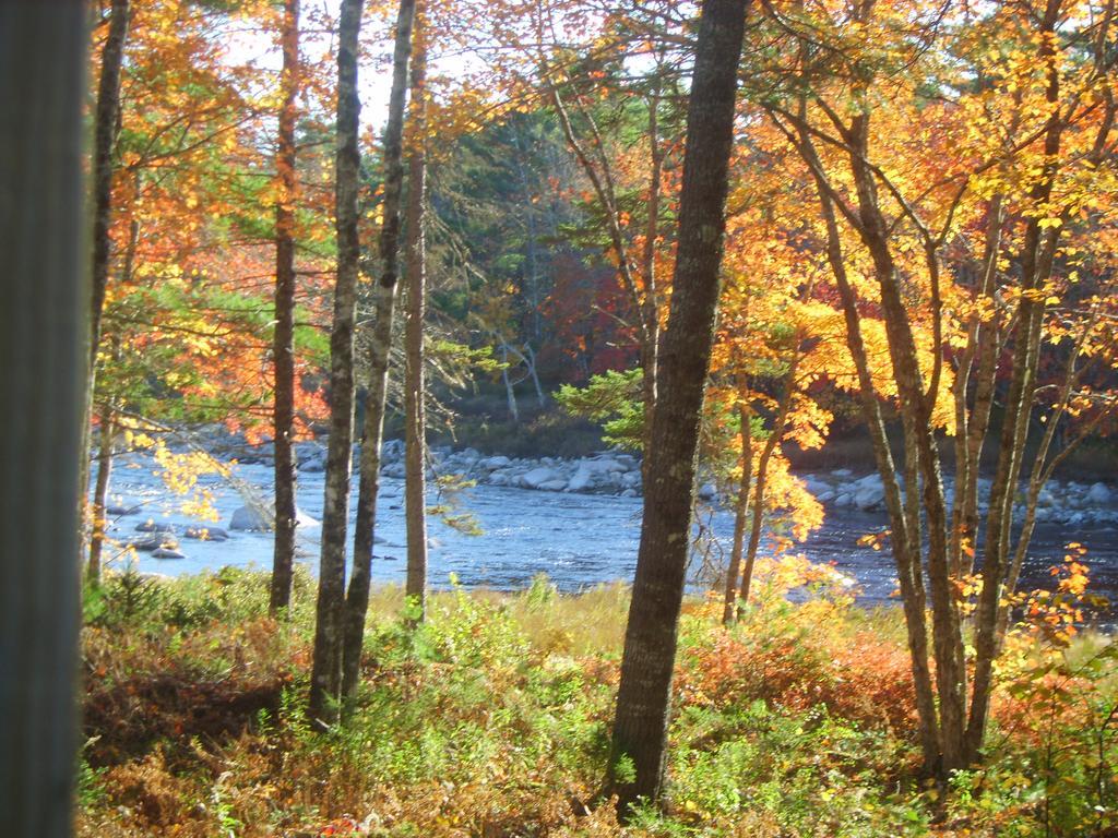 Roseway River Cottages Shelburne Bagian luar foto