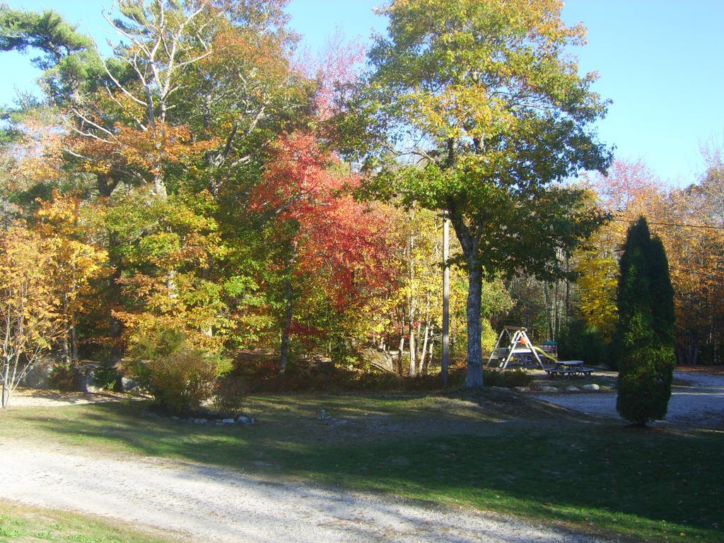 Roseway River Cottages Shelburne Bagian luar foto