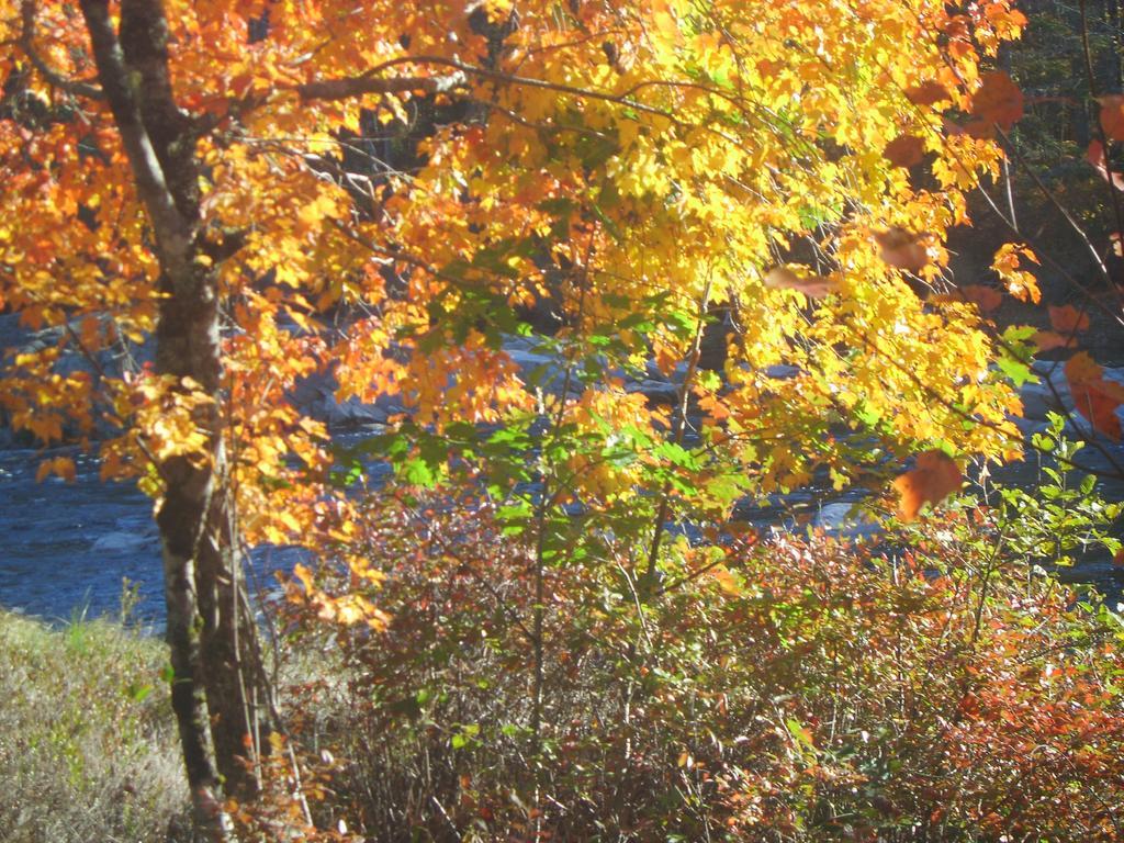 Roseway River Cottages Shelburne Bagian luar foto
