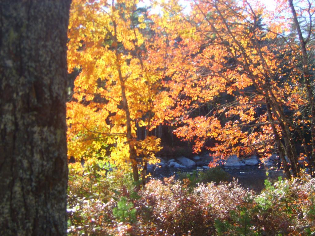 Roseway River Cottages Shelburne Bagian luar foto