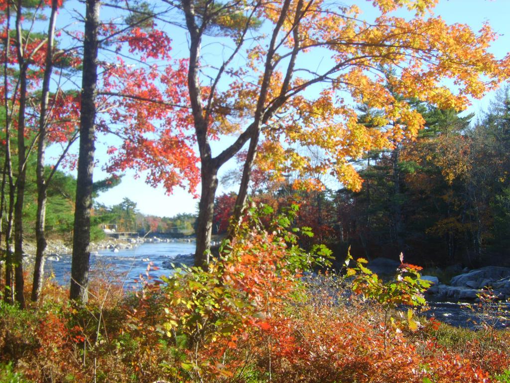 Roseway River Cottages Shelburne Bagian luar foto