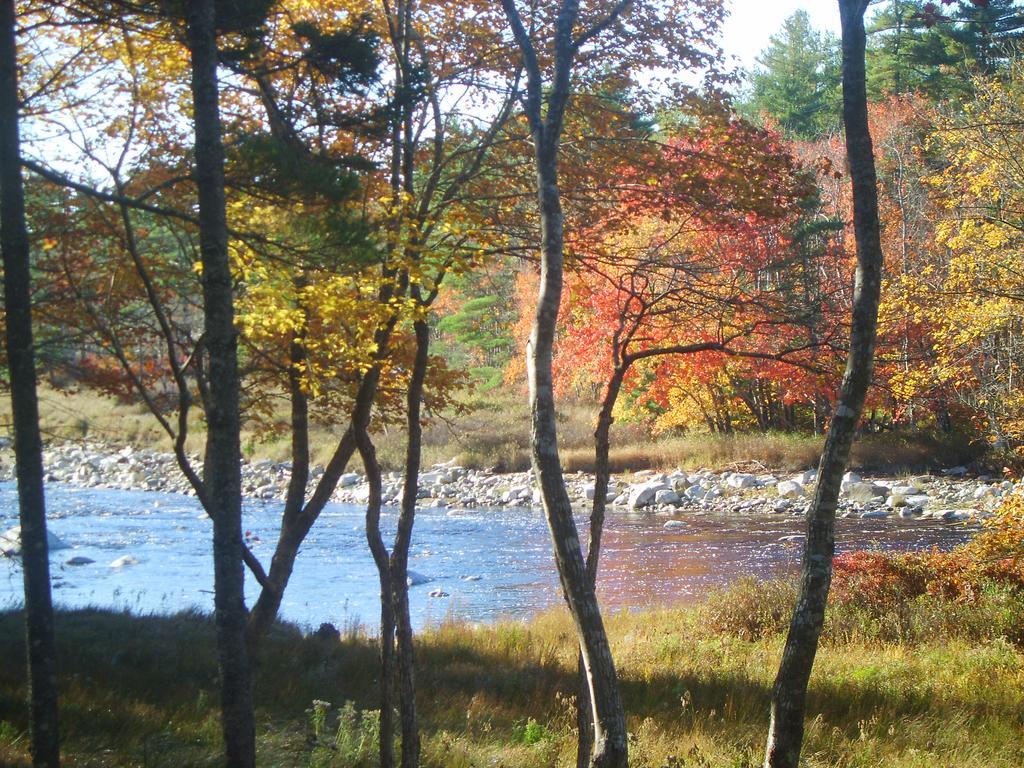 Roseway River Cottages Shelburne Bagian luar foto