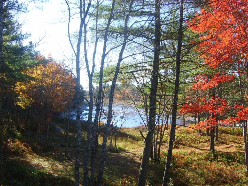 Roseway River Cottages Shelburne Bagian luar foto